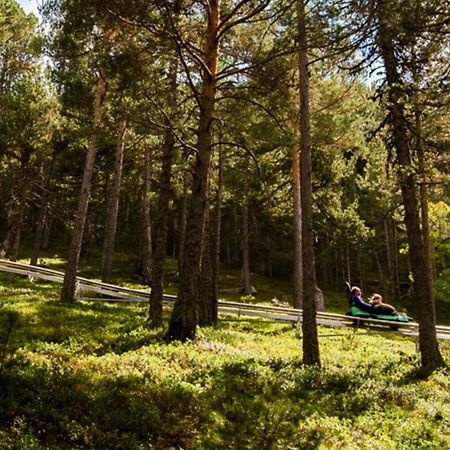 Apartamento Ribasol Vallnord En Arinsal Tintin Extérieur photo
